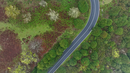 Aerial View of Asphalt Road in High Mountain Landscape , Madeira Island , Portugalの写真素材