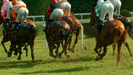 Racehorses in a line gallop up to the Winning Line together, freeze motionの写真素材