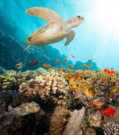 Underwater Tropical Corals Reef with Turtle and colorful sea fish. Marine life sea world. Tropical...