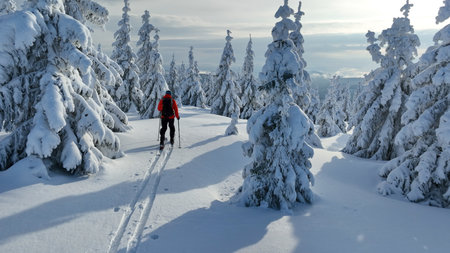 Backcountry Skier Walking in the scenic mountains , Fresh Snow Powder