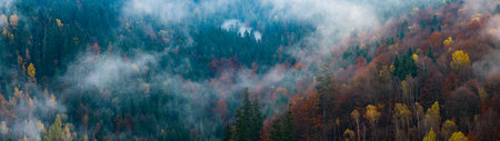 Beautiful mountain landscape in fall with colorful trees and white fog , aerial view . Misty forestの写真素材