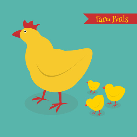 Chicken mother and chuk kid vector illustration. Cartoon chicken bird isolated on background. Cute chicken vector illustration.のイラスト素材