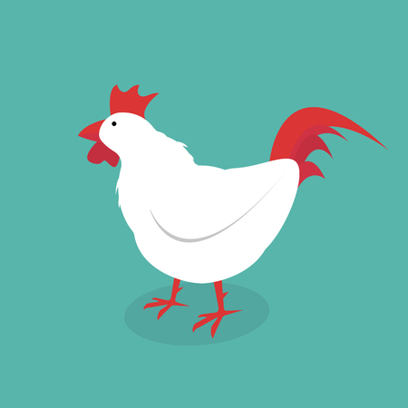Rooster isolated on green background. Vector illustrationのイラスト素材