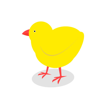 Little chicken isolated on white background. Vector isolated on white background. Vector illustrationのイラスト素材