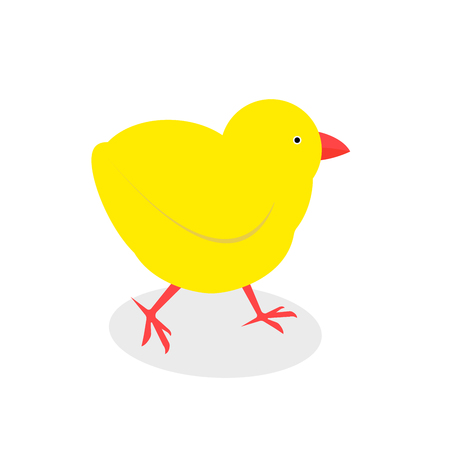Little chicken isolated. Vector isolated on white background. Vector illustrationのイラスト素材