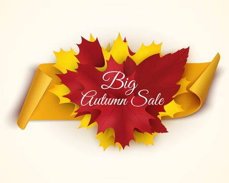 Autumn sale banner vector illustration. Colorful leaves with paper scroll banner. Vector illustrationの写真素材
