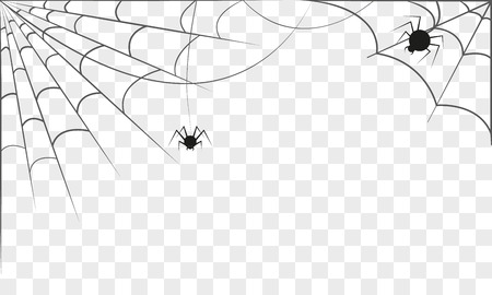 Background with two spider webs isolated. Halloween concept. Vector illustrationのイラスト素材