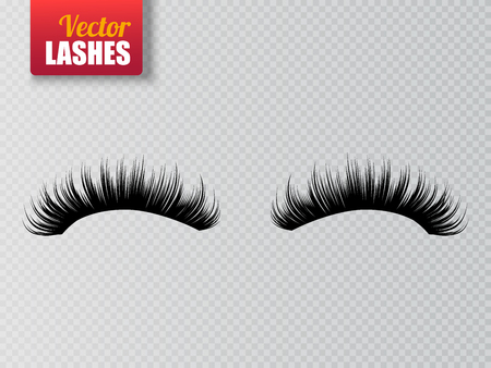 Lashes isolated on transparent background. False eyelashes set. Vectorのイラスト素材