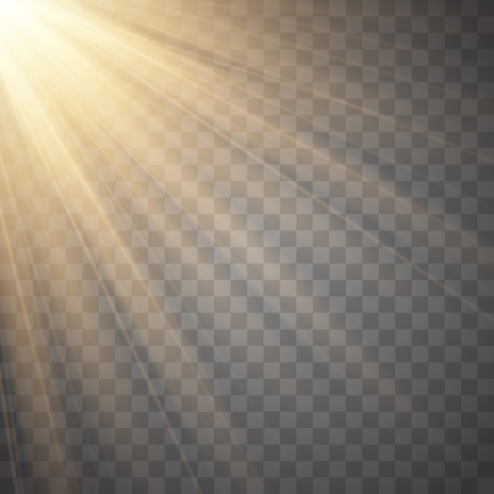 Rays of light isolated on transparent background. Golden spotlight. Vector illustrationのイラスト素材