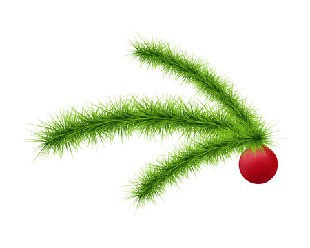Christmas tree branch. Fir branch isolated.のイラスト素材