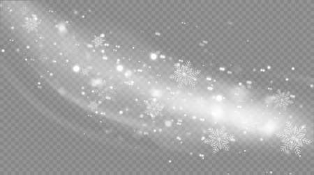 Vector snowfall isolated. Winter background. Snow overlay illustration. Snowflakes and ice.のイラスト素材