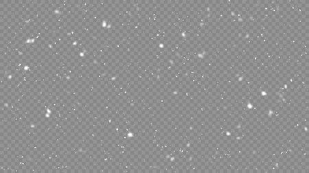 Vector snowfall isolated. Winter background. Snow overlay illustration. Snowflakes and ice.のイラスト素材