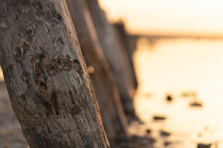 Sunset on the Kuyalnik Liman. Odessa. Ukraine. Old logs are visible from the water - the remains of an ancient pierの写真素材