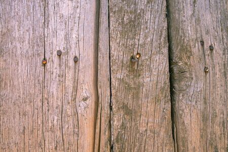 Fence from old weathered pine boards. Texture of natural aged wood. Woodworm holes, rusty nails. Creative vintage background.の写真素材