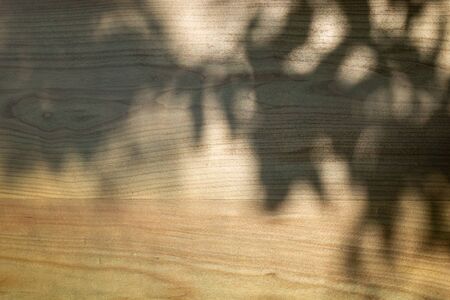 Wood panel tinted in blue. Natural wood texture. Bright shadow from a tree