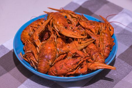 Boiled red river crayfish in a blue plate on the tableの写真素材