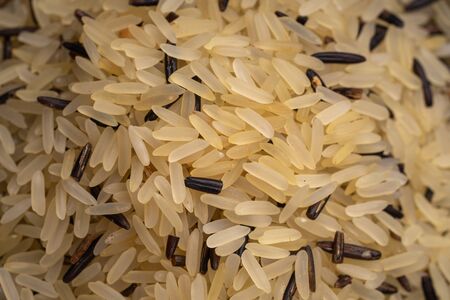 Grain of rice close up. Unpolished rice. Organic Food Background.