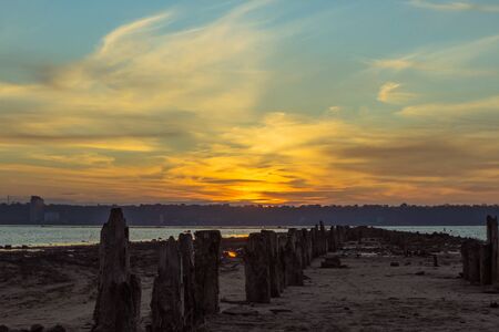 Beautiful blue sky and clouds at sunset. The shore of the lake and old logs sticking out of the ground. The blue hour. Kuyalnik. Kuyalnitsky estuary. Odessa. Ukraine. Winter 2020の写真素材