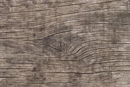 The texture of natural wood. Very old weathered pine surface. Creative vintage background