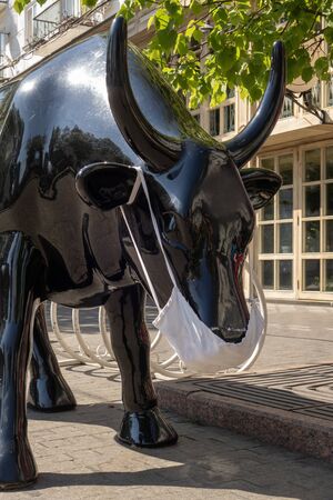 Sham black cow in a surgical mask. City life during a pandemicの写真素材