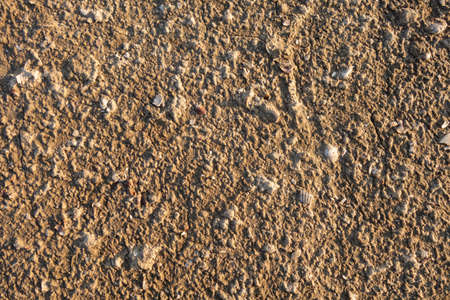 Salty sand with shells on the shore of a dry lake. Creative vintage background.の写真素材