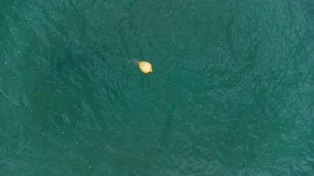 Yellow buoy in the sea against the backdrop of calm sea water. Aerial view