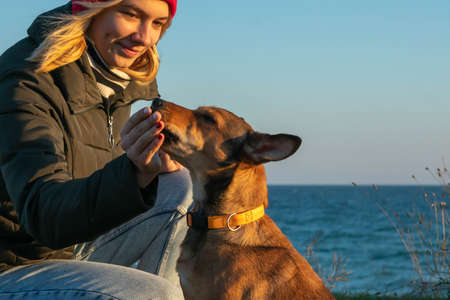 A blonde girl with a purebred dog from the shelter. Playing with a dog on the seashore. Friendship...