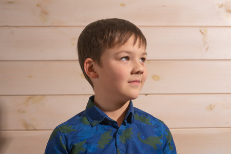 Portrait of a boy 8 years old brunette in a blue shirt. side viewの写真素材