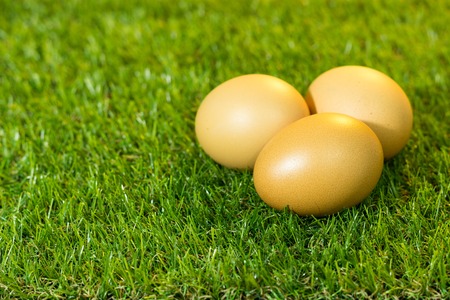 Eggs are placed on artificial grass.の写真素材