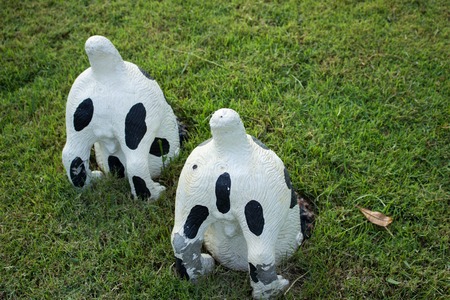 Two Cow's bottom doll on the grass for gardeningの写真素材