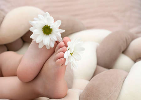 Little baby feet with a white flower in the toeの写真素材