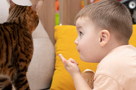 A little cute boy feeds a domestic red leopard bengal cat with ice cream in a waffle cup.の写真素材