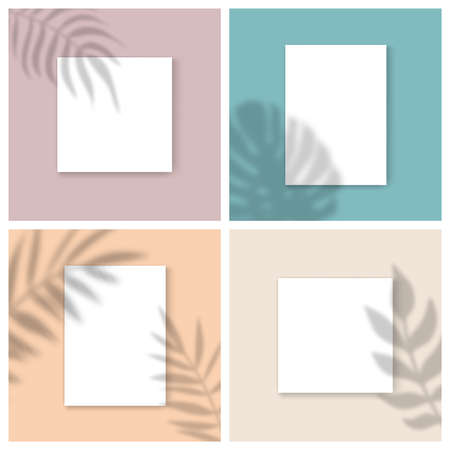 Vector Mockups set with empty white paper sheet on color background and palm leaves shadow overlay effect. Minimalist portfolio blank space backgrounds for web portfolio, poster mock up, presentationのイラスト素材