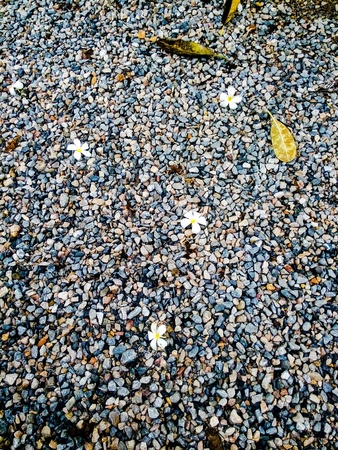 A way from homeの素材