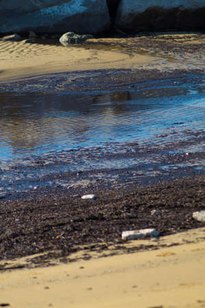 stretch of Bibione beach, Veniceの写真素材