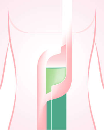 Design stomach illustration template, Business infographic stomach, Creative concept vector background stomachのイラスト素材