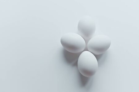 White egg isolated on white background