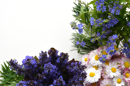 Cute bouquets of summer flowers.の写真素材