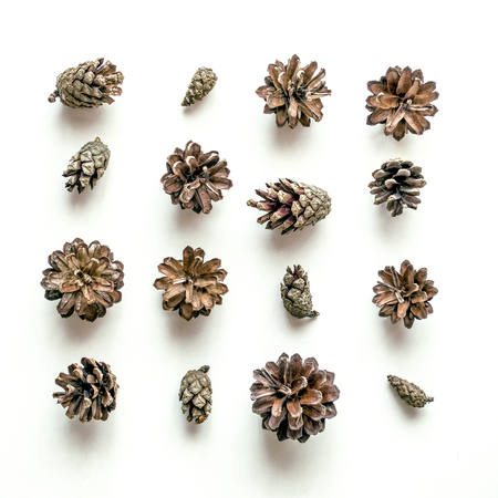 Composition of forest cones on a white background. Christmas or eco background. Top viewの写真素材