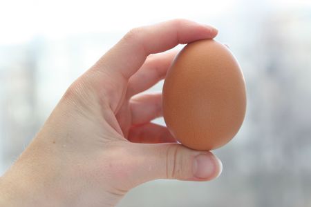 Egg in a hand