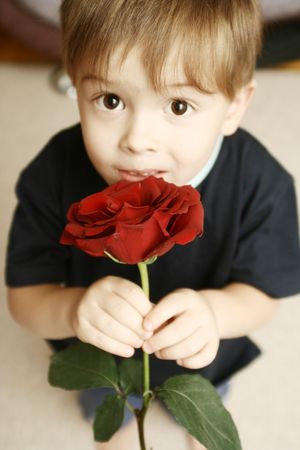 The sight of the boy which holds a flower in a handの写真素材