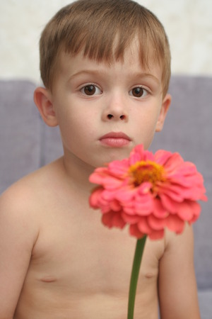 Sight of the boy with a pink flower in a handの写真素材