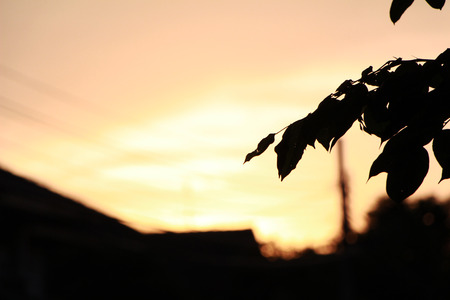 Sunset in Bangkokの写真素材