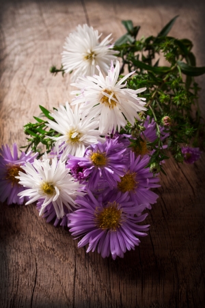 asters on a wooden tableの写真素材
