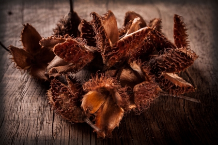beechnuts on wooden tableの写真素材