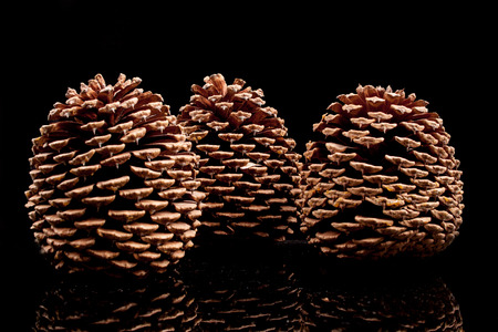 cone on black backgroundの写真素材