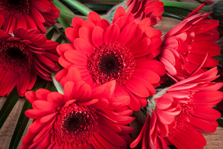 Gerbera on a wooden tableの写真素材