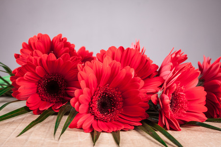 Gerbera on a wooden tableの写真素材