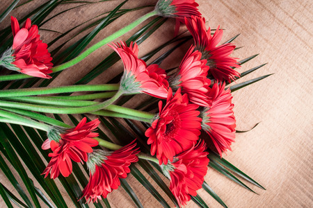 Gerbera on a wooden tableの写真素材