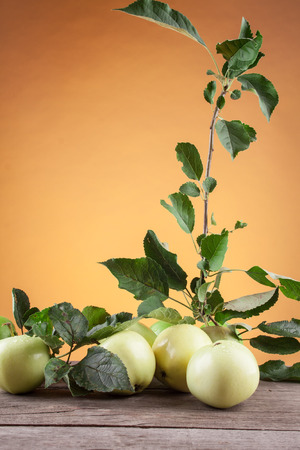 Summer green apple on the wooden tableの写真素材